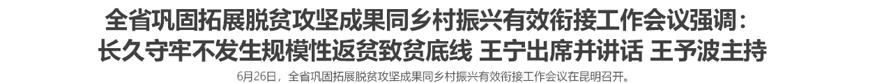 全省巩固拓展脱贫攻坚成果同乡村振兴有效衔接工作会议强调：长久守牢不发生规模性返贫致贫底线 王宁出席并讲话 王予波主持