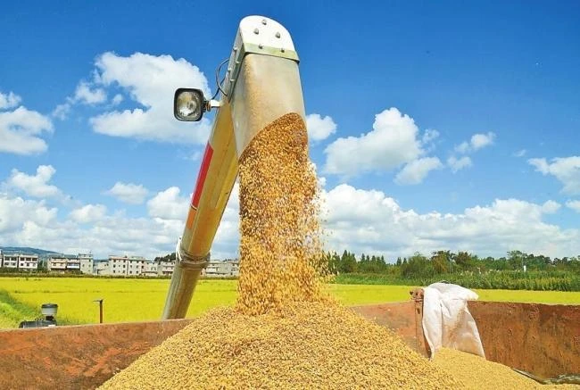 2025年我省粮食产量突破2000万吨