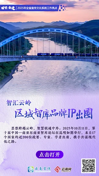 【回望·奋进】智汇云岭 区域智库品牌IP出圈