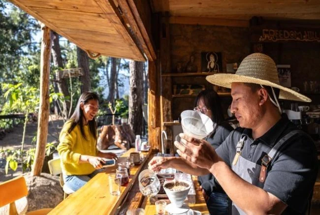 一杯云南咖啡里的绿色发展之路