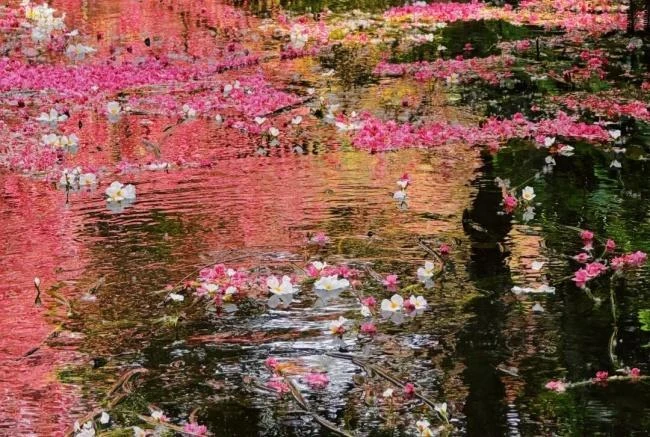 云南负责color，你只管walk